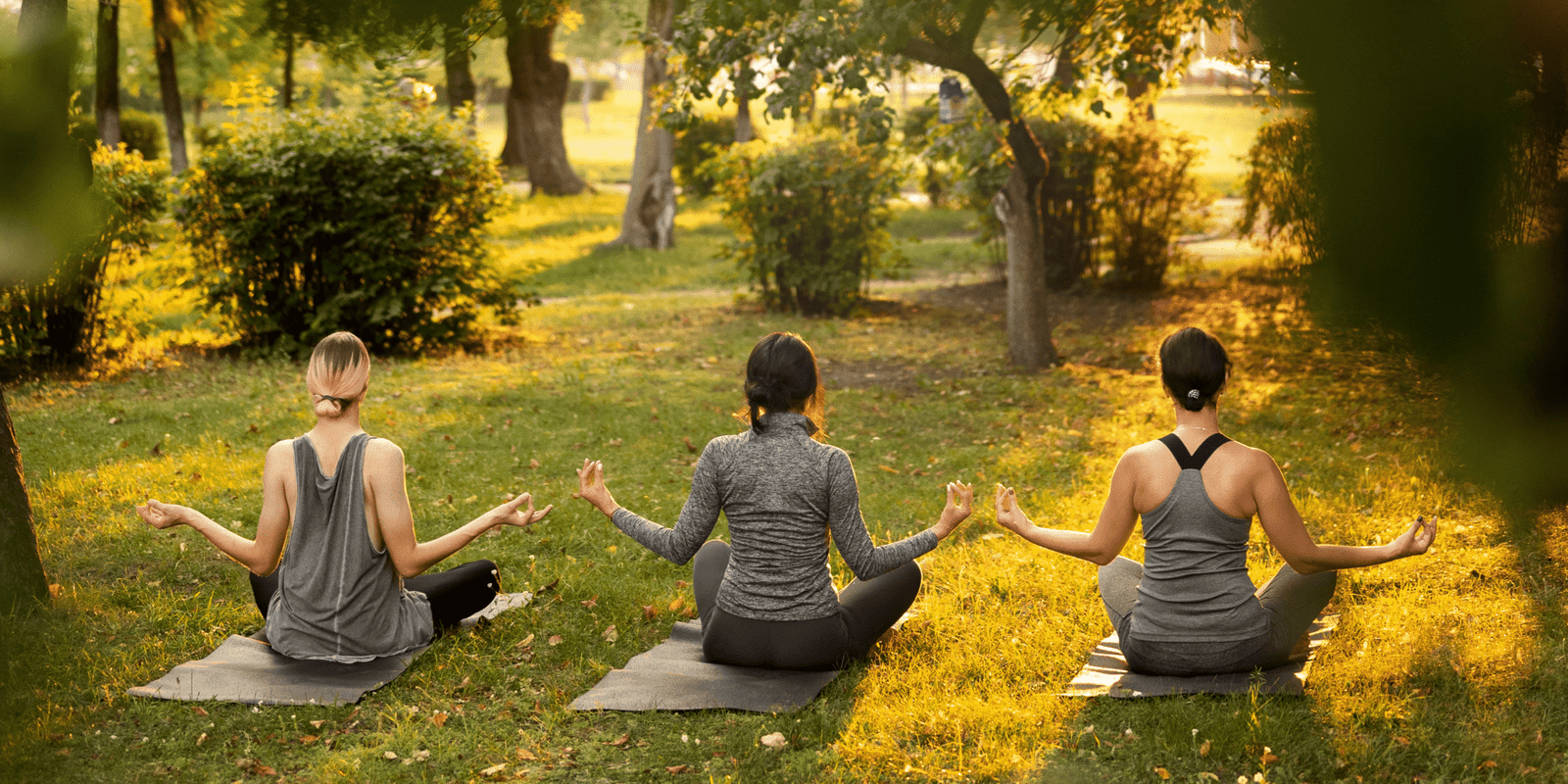 Digital Detox Escapes: Reconnect with Nature at Ambar Palms 2 digital detox